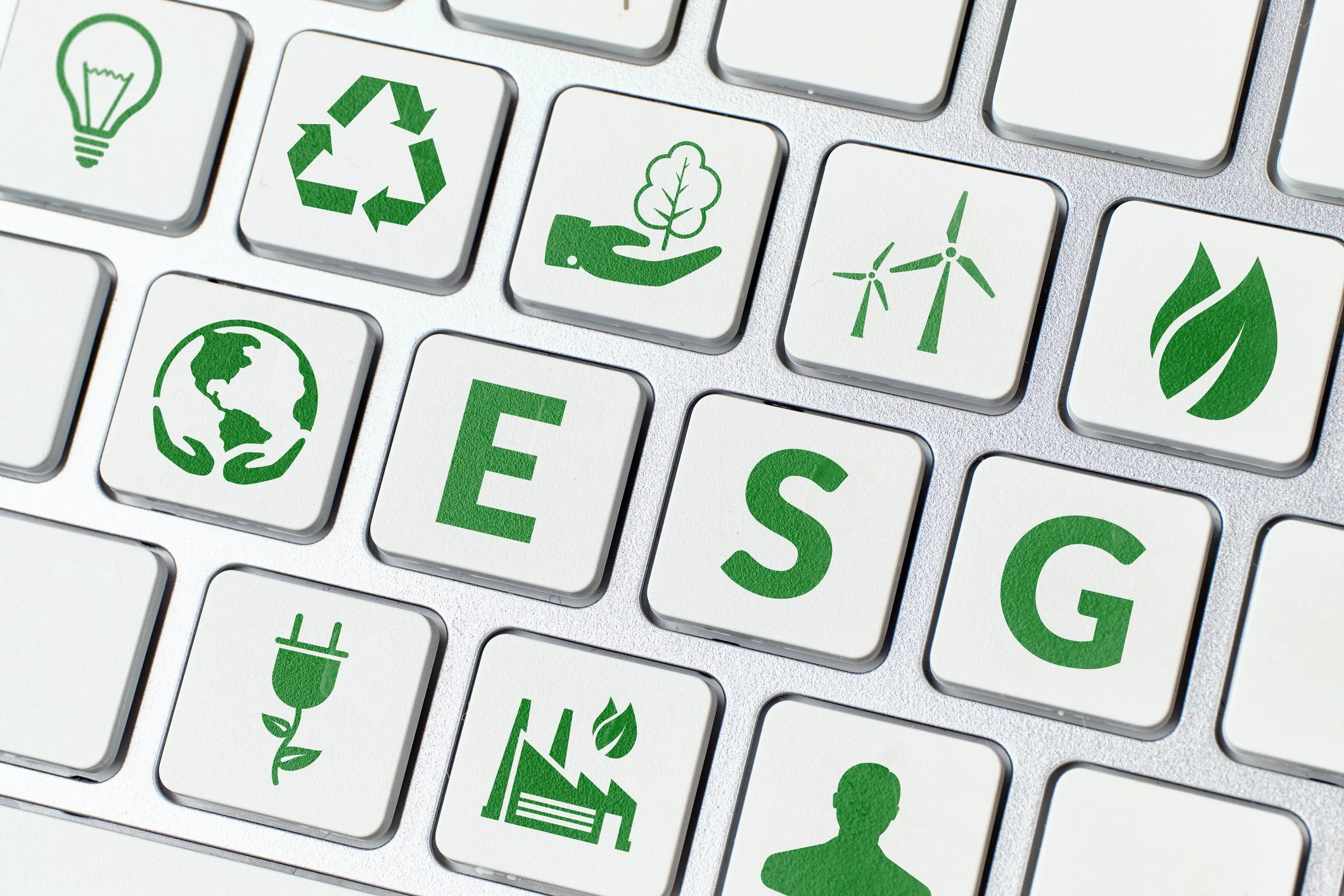 TI verde: saiba como soluções ESG podem dar destaque às empresas